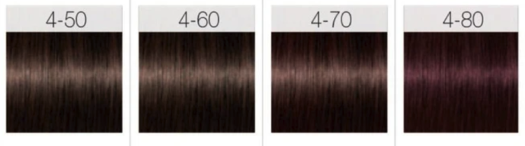 SCHWARZKOPF IGORA ROYAL | ABSOLUTES  Permanente Hair Color 60ml