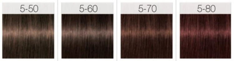 SCHWARZKOPF IGORA ROYAL | ABSOLUTES  Permanente Hair Color 60ml