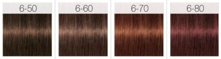 SCHWARZKOPF IGORA ROYAL | ABSOLUTES  Permanente Hair Color 60ml