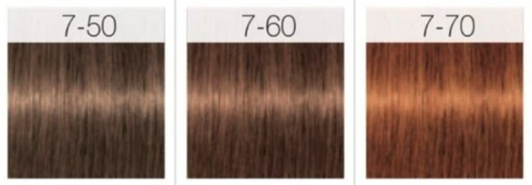 SCHWARZKOPF IGORA ROYAL | ABSOLUTES  Permanente Hair Color 60ml