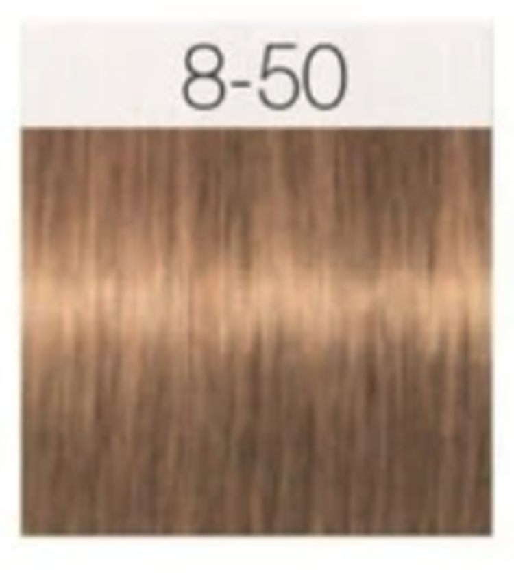 SCHWARZKOPF IGORA ROYAL | ABSOLUTES  Permanente Hair Color 60ml