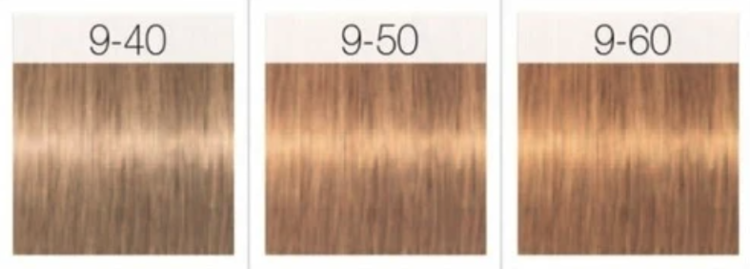 SCHWARZKOPF IGORA ROYAL | ABSOLUTES  Permanente Hair Color 60ml