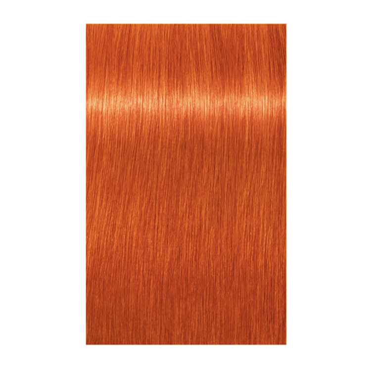 SCHWARZKOPF Igora | Royal - Booster - Coloration Permanente Crème