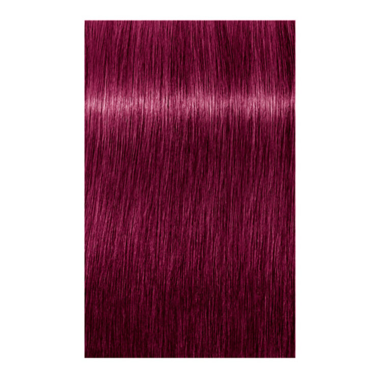 SCHWARZKOPF Igora | Royal - Booster - Coloration Permanente Crème