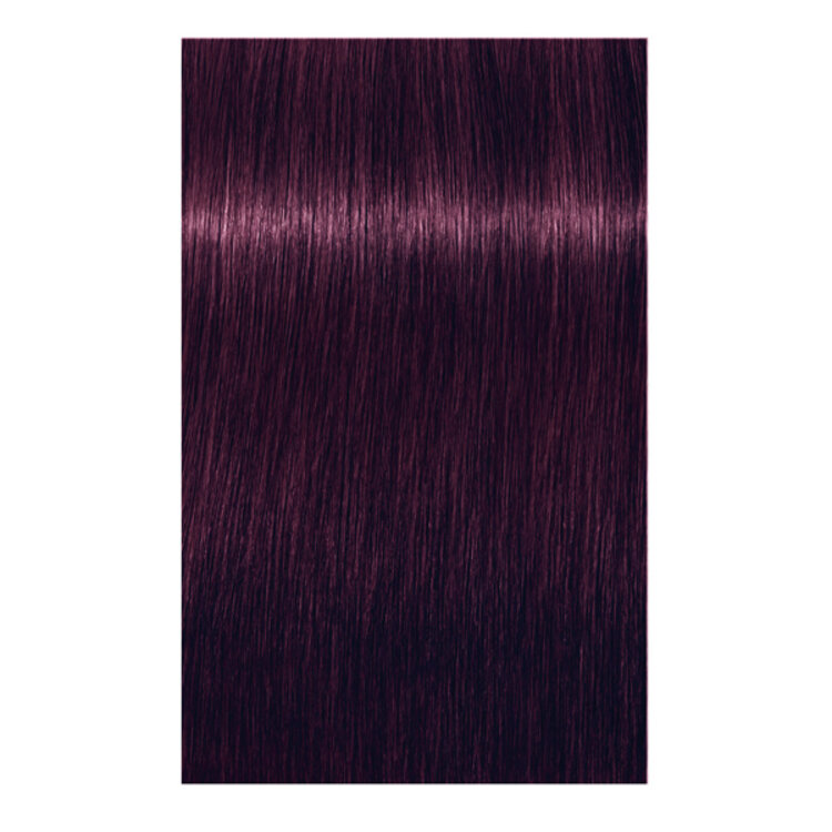 SCHWARZKOPF Igora | Royal - Booster - Coloration Permanente Crème