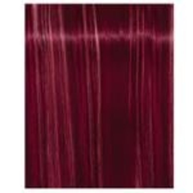 SCHWARZKOPF IGORA ROYAL | FASHION LIGHTS Permanent Hair Color  60ml