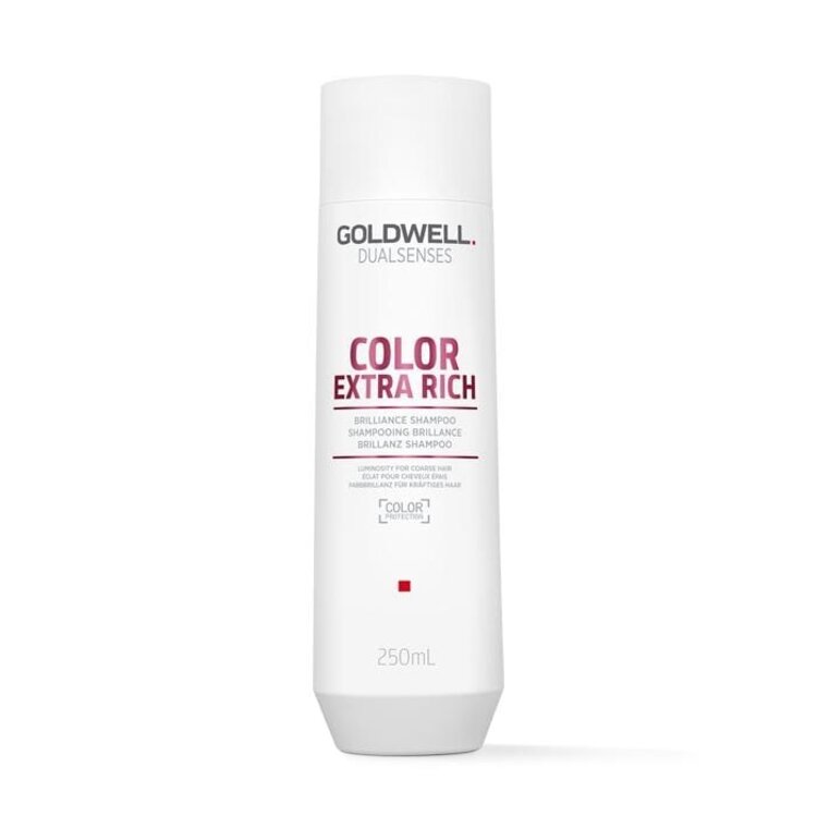 GOLDWELL Dualsenses | Color Extra Rich Brilliance - Professional Shampoo