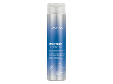JOICO MOISTURE RECOVERY  Hydrating Shampoo