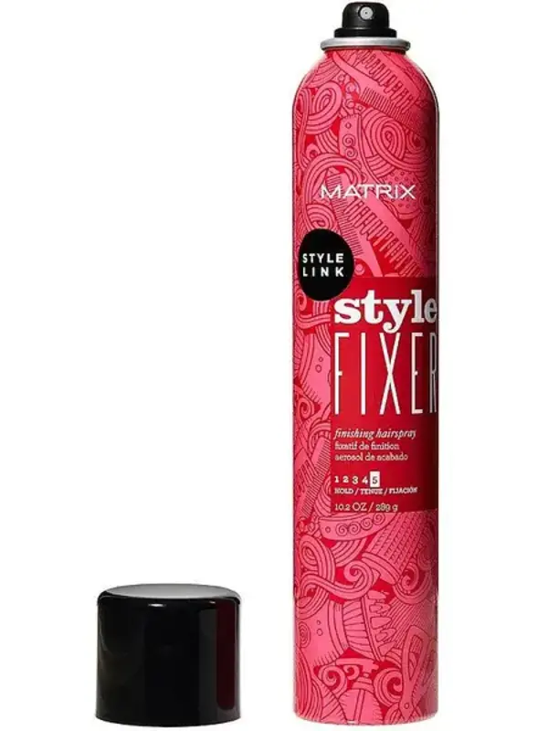 STYLE LINK | Style Fixer 289g (10.2 oz)