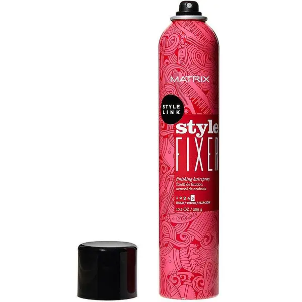 STYLE LINK | Style Fixer 289g (10.2 oz)