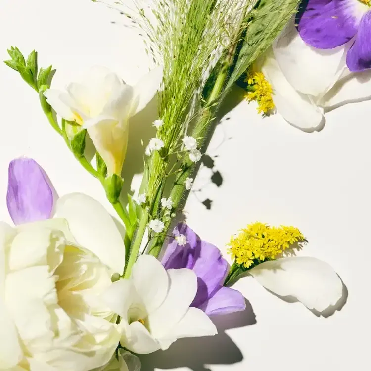 AUTHENTIC BEAUTY CONCEPT | ABC Bare Cleanser | Bain Bain Doux Équilibrant