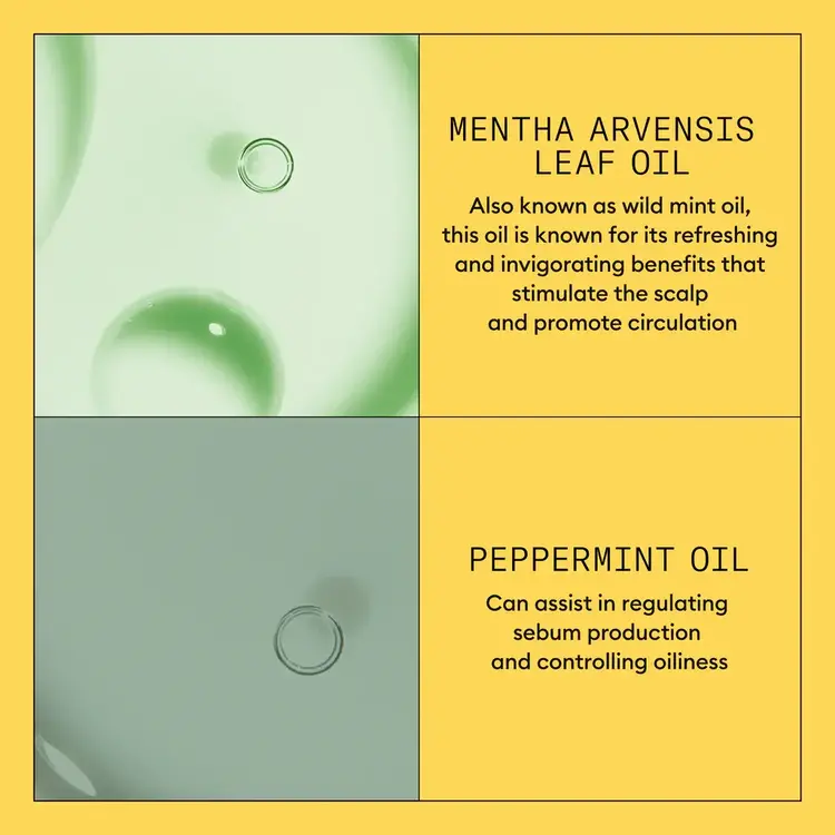 NIOXIN Pro Clinical Système 1 | Revitalisant – Cheveux Naturels Légèrement Clairsemés