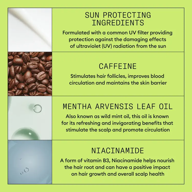 NIOXIN Pro Clinical Système 2 | Traitement Épaississant – Cheveux Naturels avec Chute Avancée