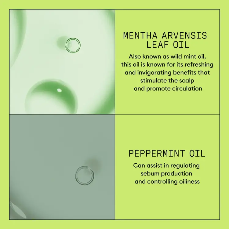 NIOXIN Pro Clinical NIOXIN - SYSTÈME | 2 Cheveux Naturels - Chute Avancée | Revitalisant