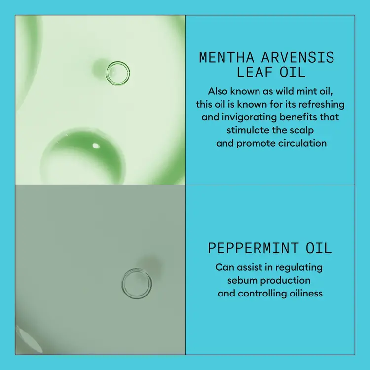 NIOXIN Pro Clinical NIOXIN - SYSTÈME | 3 Cheveux Colorés - Légèrement Clairsemés | Revitalisant
