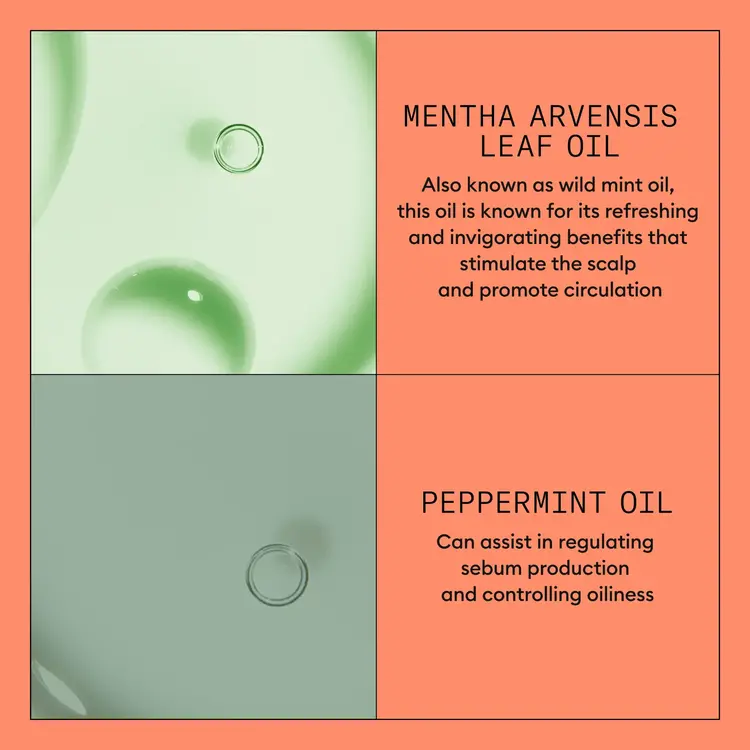 NIOXIN Pro Clinical Système 4 | Revitalisant - Cheveux Colorés avec Chute Avancée