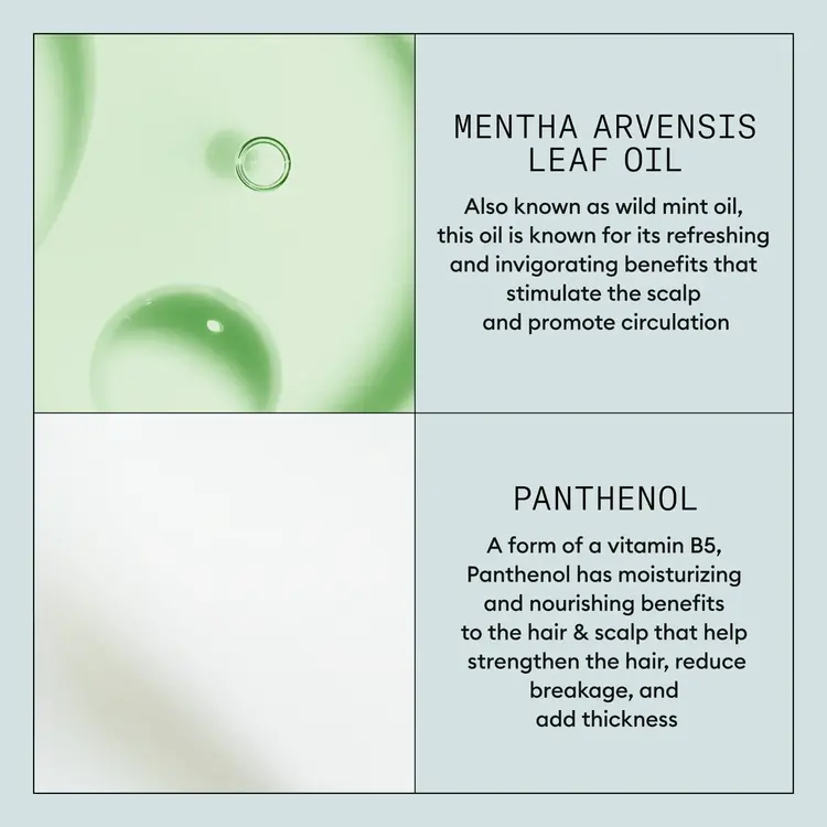 NIOXIN Pro Clinical Density Defend | Strong Hold Hairspray – Long-Lasting Styling Control