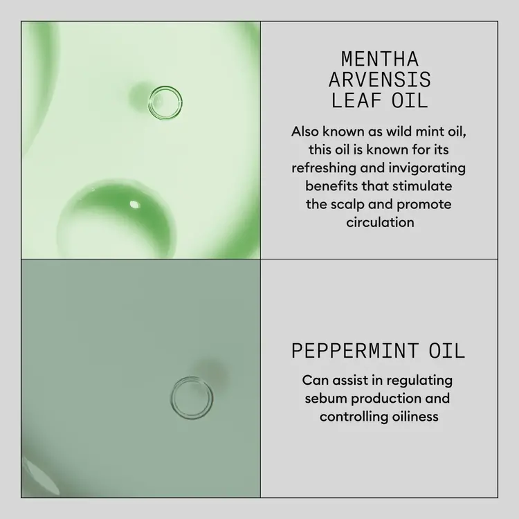 NIOXIN Pro Clinical Density Defend | Volumizing Dry Shampoo – Refreshes and Boosts Volume