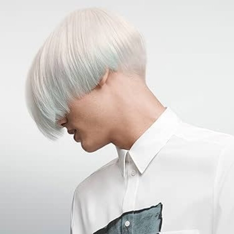 GOLDWELL Dualsenses | Silver Shampooing Argent - Illumine Tes Blonds Et Gris (300ml/10.1oz)