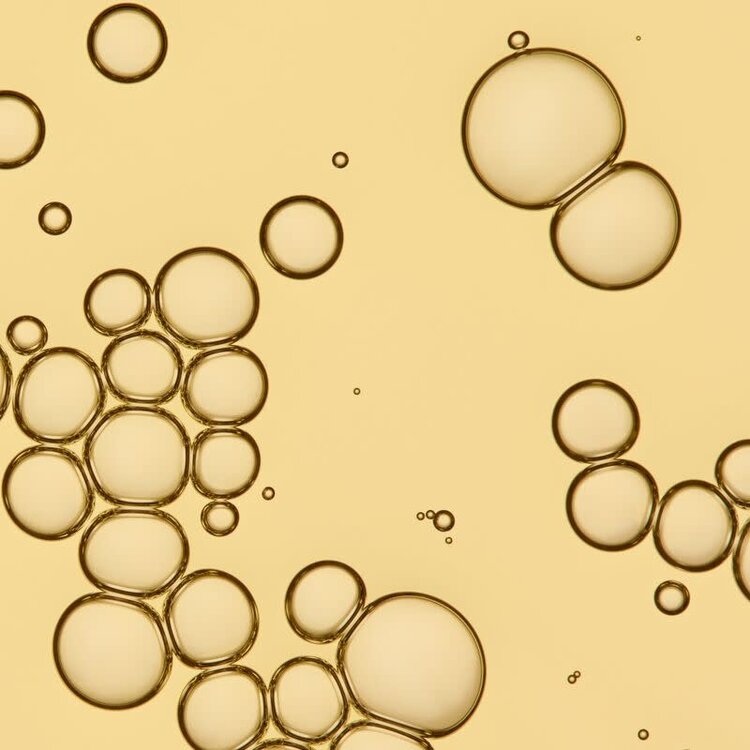 LIVING PROOF NO FRIZZ Vanishing Oil  50ml (1.7 oz)