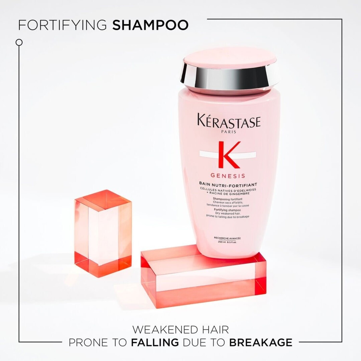 Kérastase Genesis シャンプー 、トリートメンテ大容量 Kérastase Genesis Bain Nutri-Fortifiant - Industria Coiffure Hair