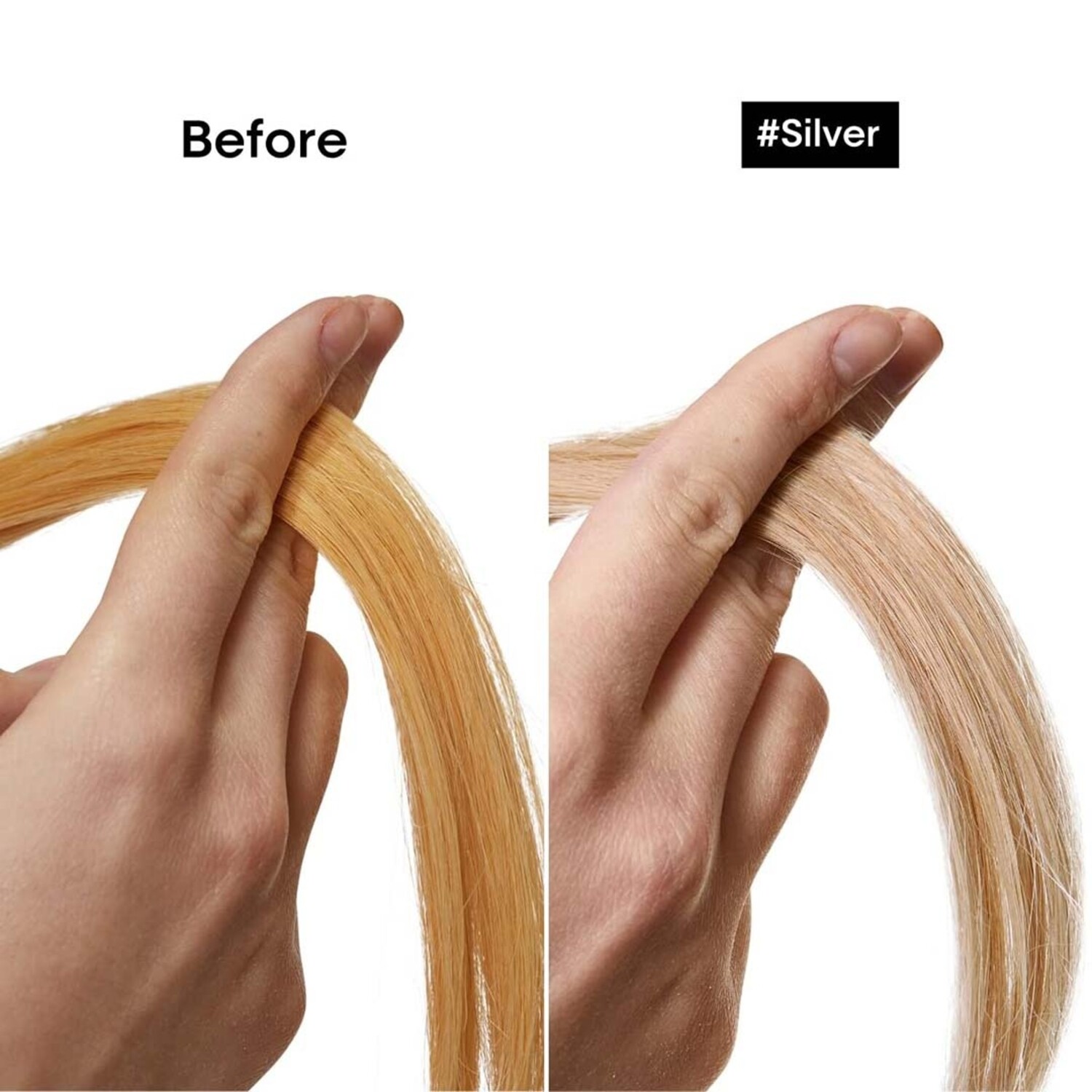 L'Orel Professionnel Serie Expert - Silver Violet Dyes Mgnesium-687099