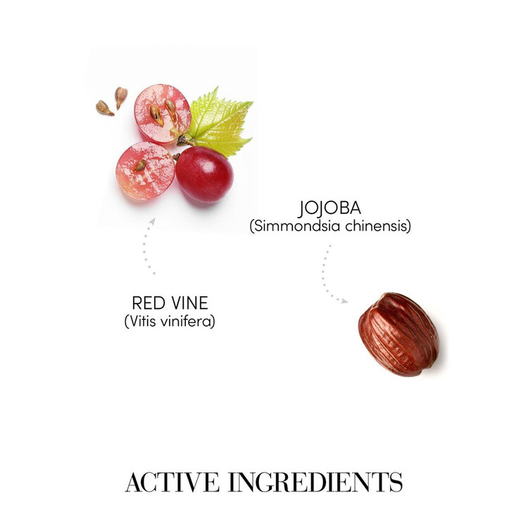 MEDAVITA Curladdict | Shampooing Assouplissant Cheveux Bouclés