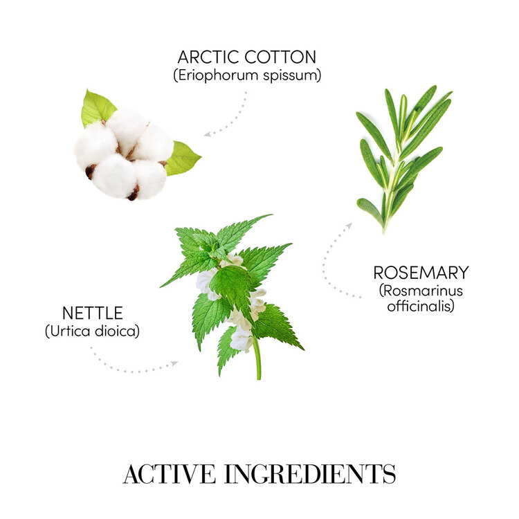 MEDAVITA Hairchitecture | Shampooing Volumisant