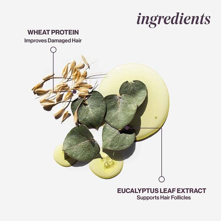 PUREOLOGY Pure Volume | Conditioner - Volume and Lightness