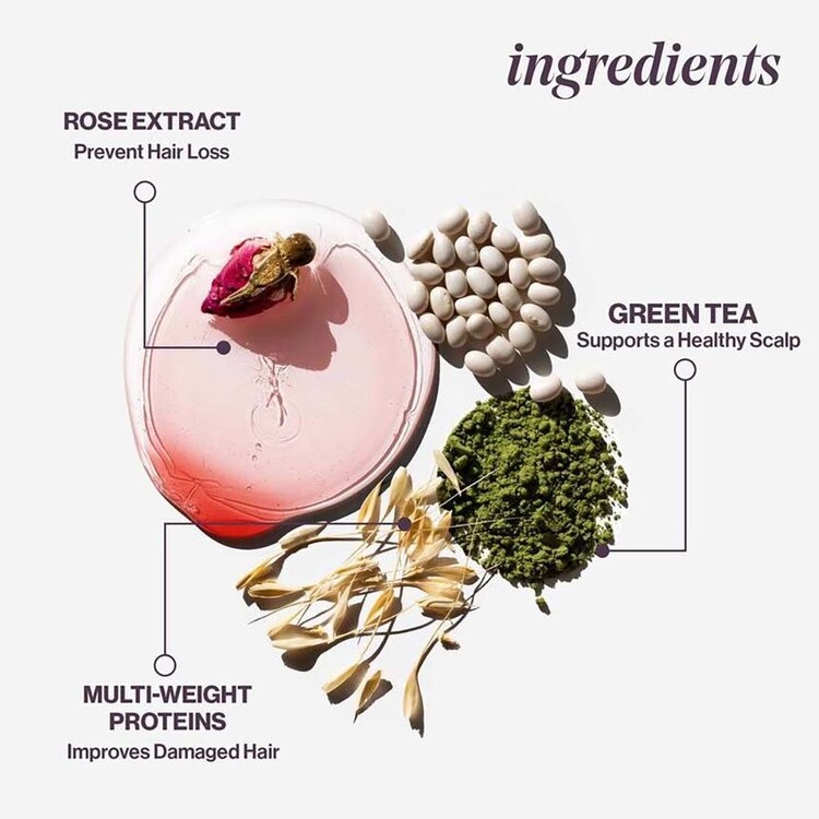 PUREOLOGY Hydrate | Shampoo