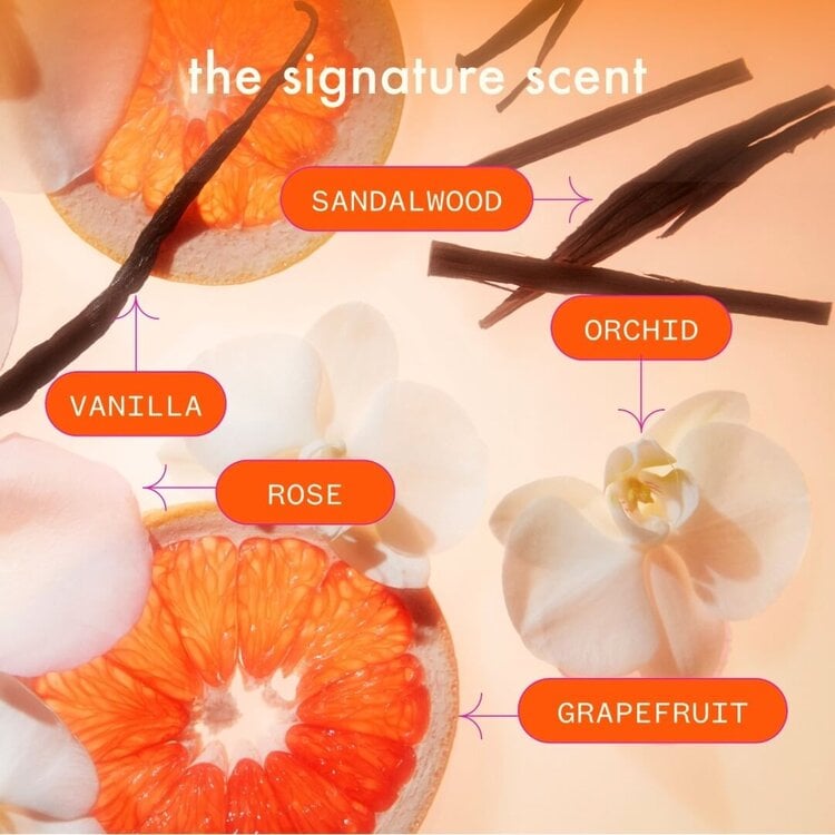 amika: ***amika | Velveteen Dream | Shampooing Lissant