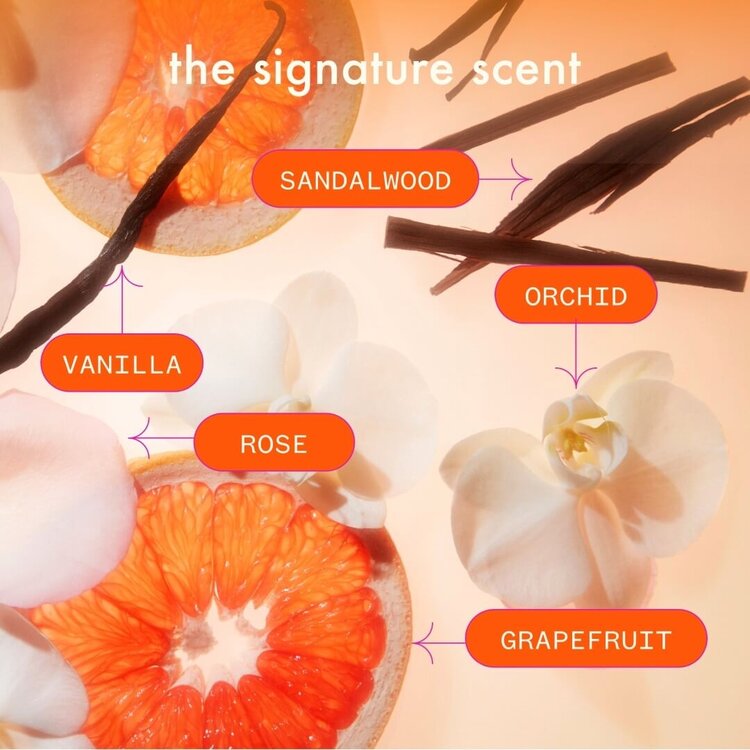 amika: Normcore | Shampooing Signature