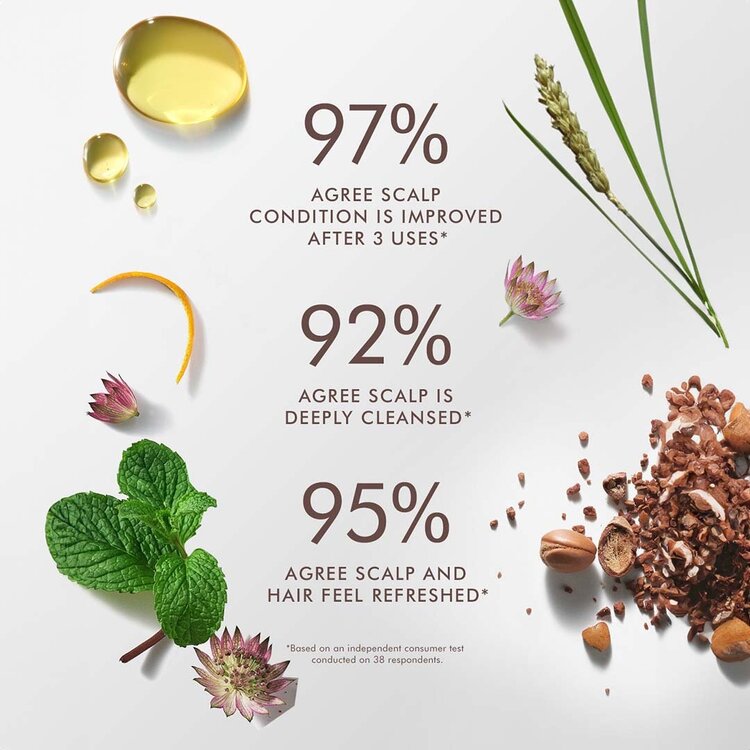 MOROCCANOIL Scalp | Purifying Scrub 125ml (4.2 oz) – Exfoliating detox for scalp