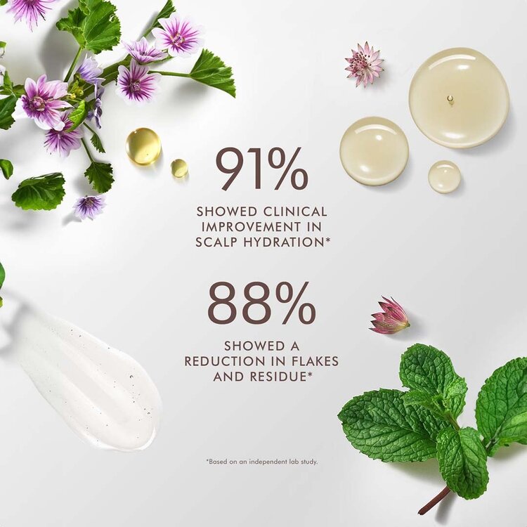 MOROCCANOIL Scalp | Scalp Balancing Conditioner – Lightweight care for scalp & lengths