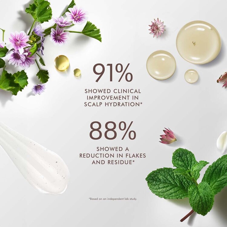 MOROCCANOIL Scalp | Scalp Balancing Shampoo – Gentle cleanser for a rebalanced scalp