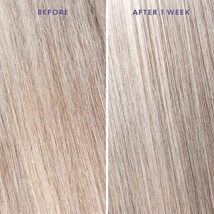 MOROCCANOIL Traitement Huile Violet