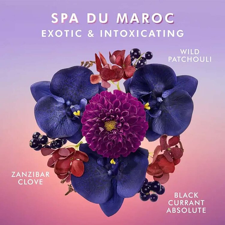 MOROCCANOIL Body | Lotion pour le Corps 360ml – Hydratation quotidienne & peau douce