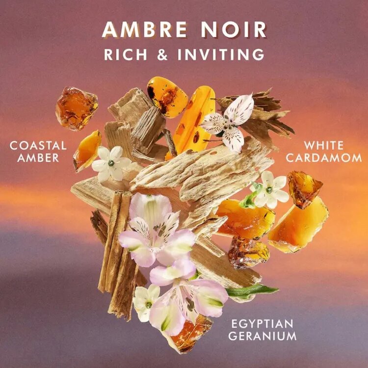 MOROCCANOIL Body | Gel Douche 250ml – Nettoyant corps doux & parfum signature