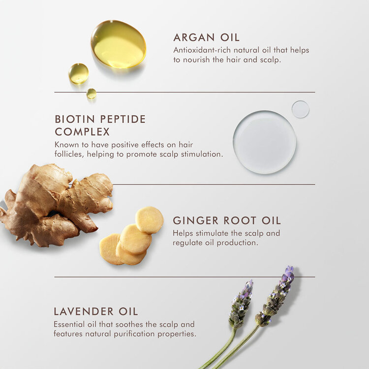 MOROCCANOIL Scalp Treatment | Oily 45ml / 1.5 oz – Balance, freshness & lightness