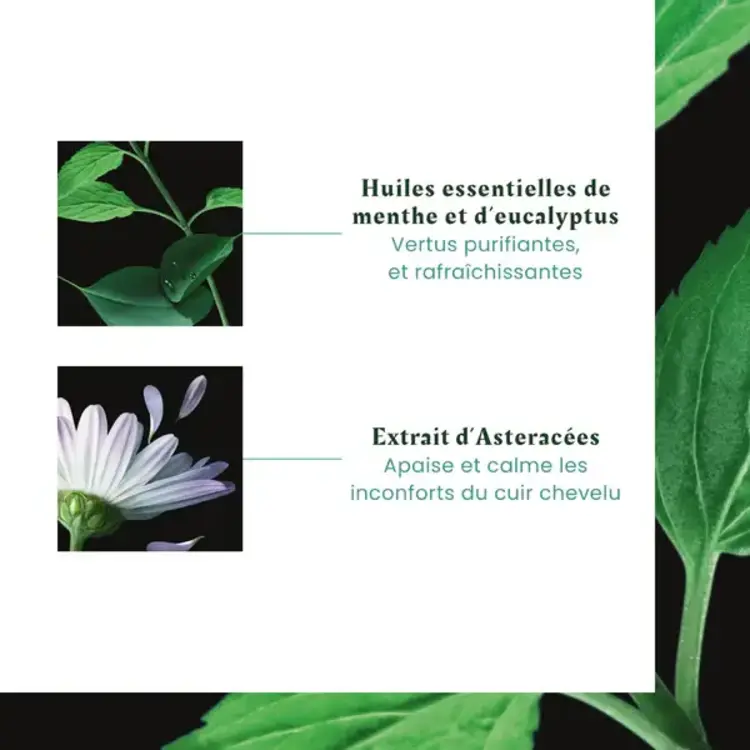René FURTERER Paris Astera Fresh | Shampooing Apaisant Fraîcheur
