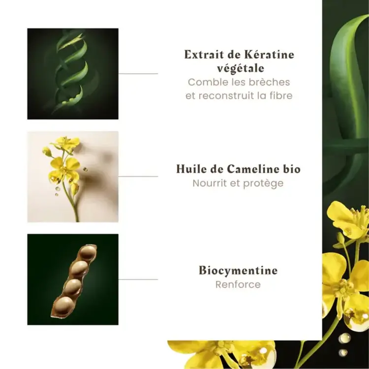 René FURTERER Paris Absolue Keratine | Crème de Beauté Réparatrice