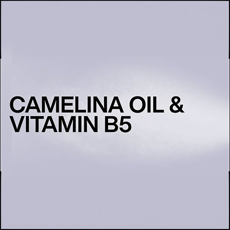 REDKEN Styling | Shine Flash 150ml