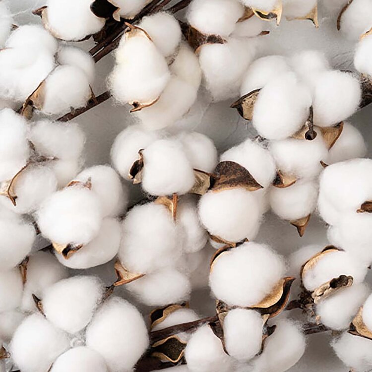 MEDAVITA Keratin Miracle | Mask - Medavita Silky Super Smoothing Hair Mask