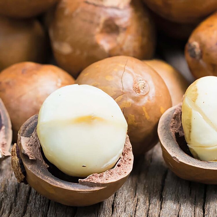 MEDAVITA Keratin Miracle | Masque - Soin super-lissage soyeux anti-frisottis