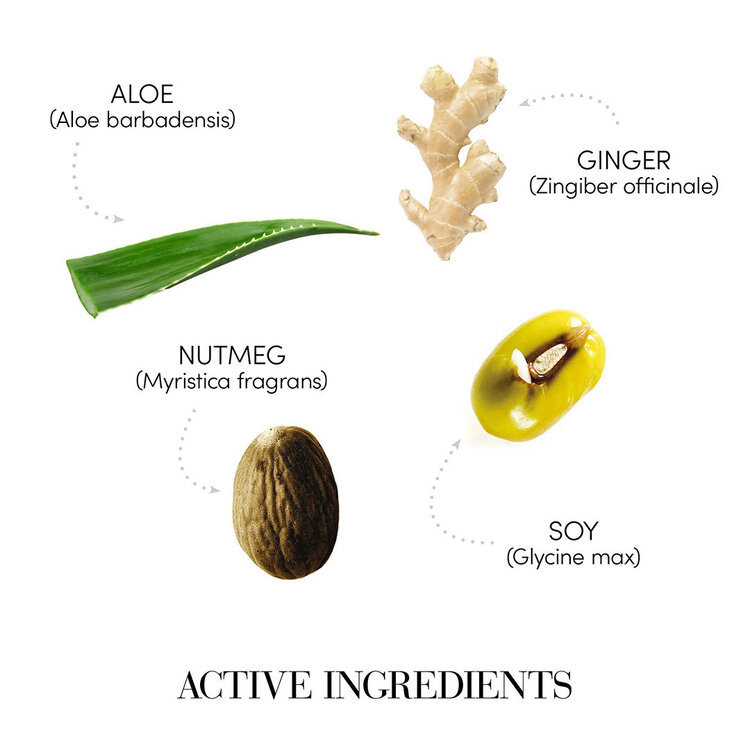 MEDAVITA Requilibre | Sebum-Balancing Shampoo