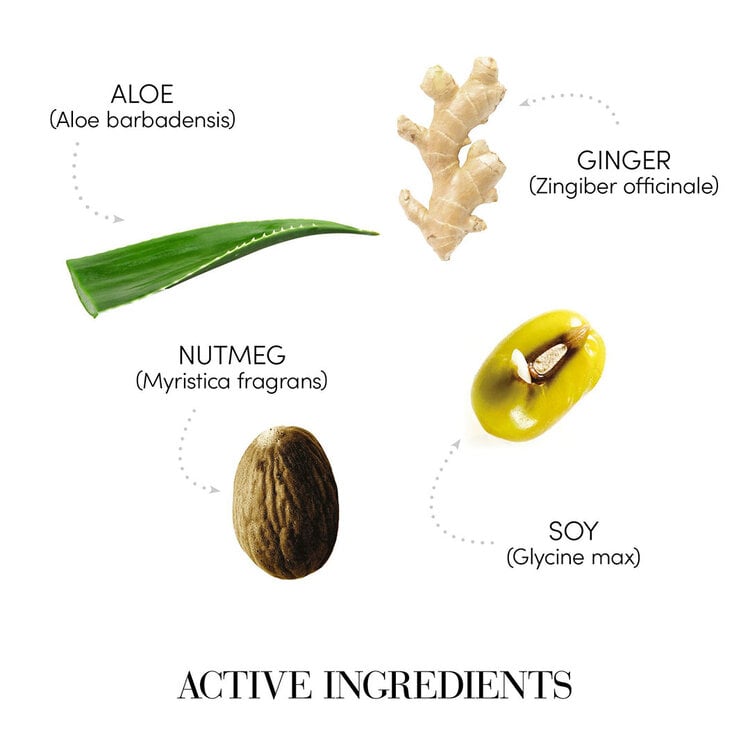 MEDAVITA Requilibre | Shampooing Sébo-Équilibrant - Nettoyage Purifiant pour Cuir Chevelu à Tendance Grasse