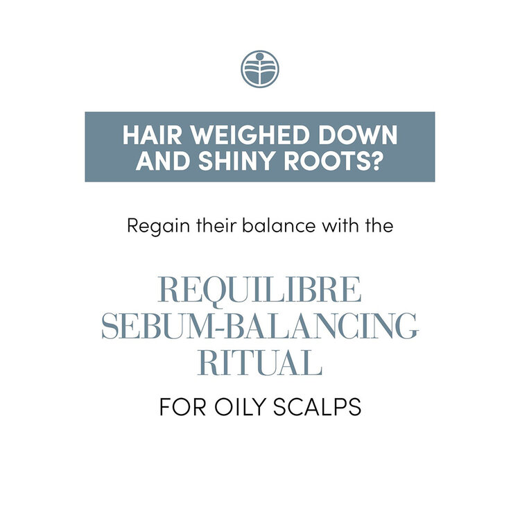 MEDAVITA Requilibre | Sebum-Balancing Shampoo