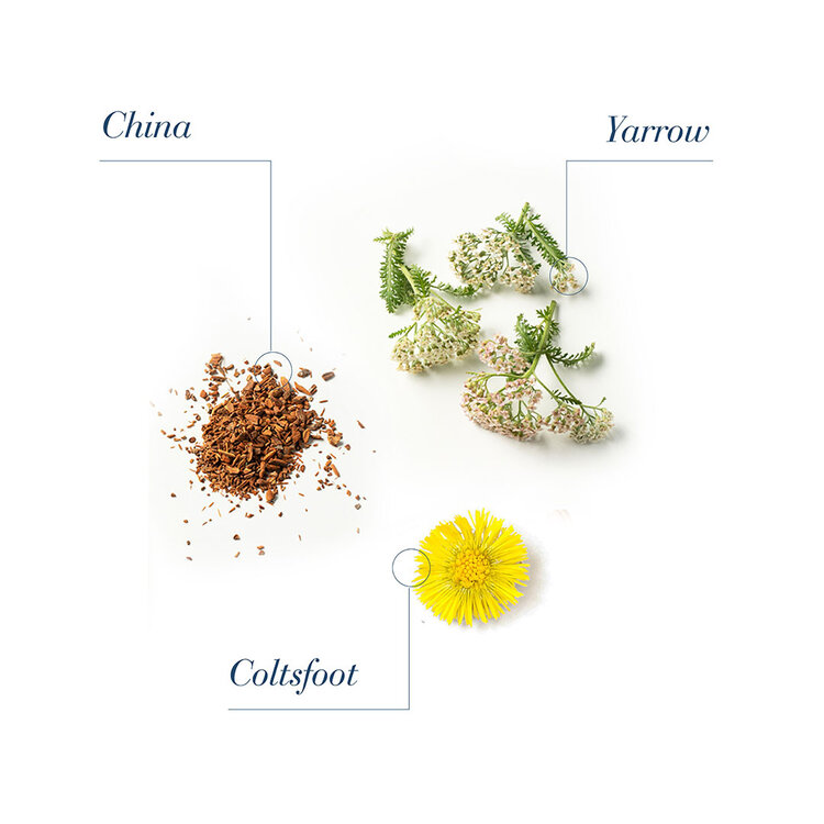 MEDAVITA Lotion Concentrée | Homme | Shampooing Anti-Chute