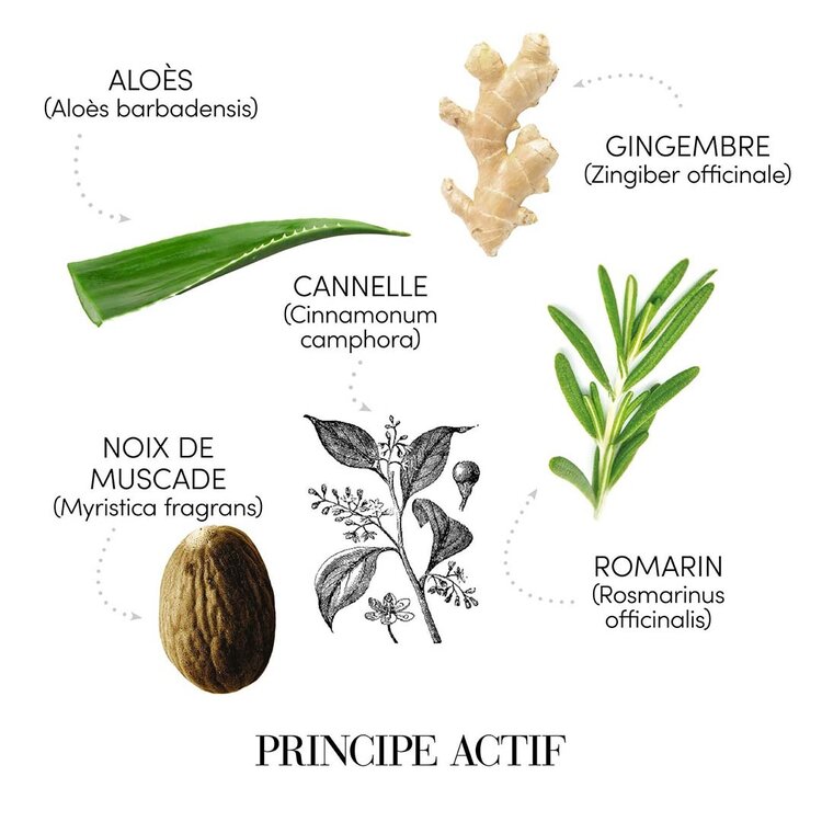 MEDAVITA Lotion Concentrée | Homme | Shampooing Anti-Chute