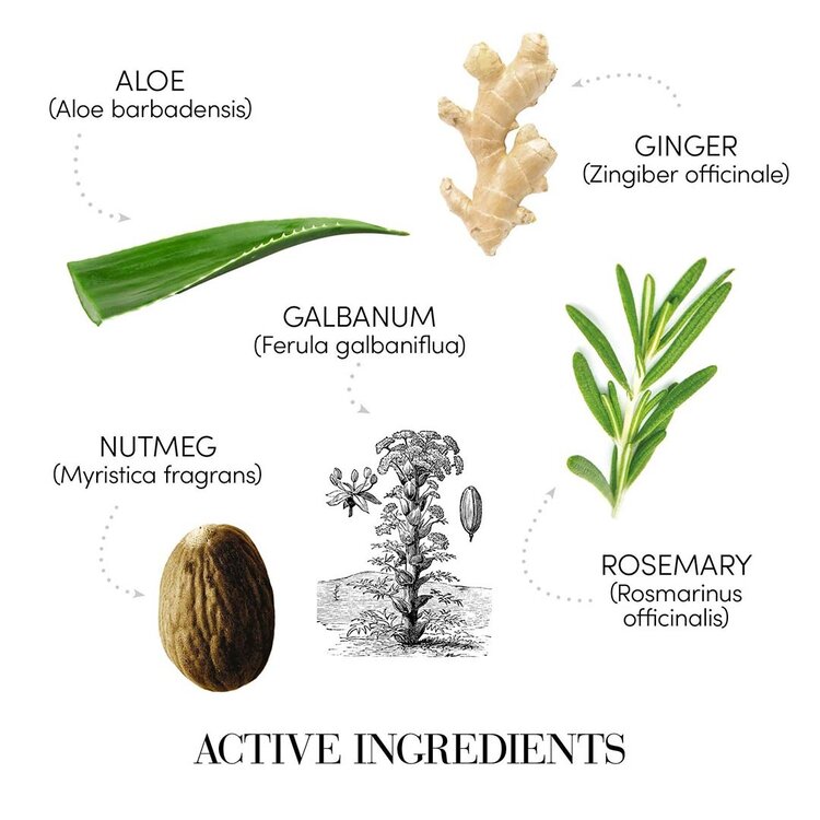 MEDAVITA Puroxine | Shampooing Antipelliculaire à Action Instantanée